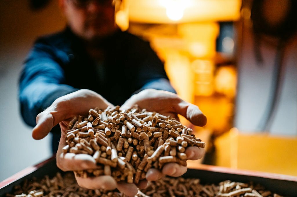 A man holds wood pellets in his hands. Biofuels. Renewable energy source. Pressed sawdust for industrial use. Alternative bio fuel. Wood filler used in cat litter.